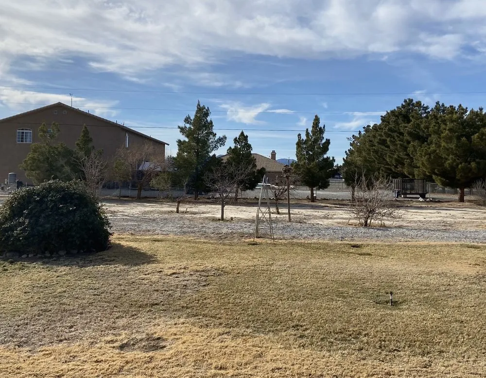 Trusted landscape design for outdoor upgrades in Pahrump, NV by Snowden Landscape