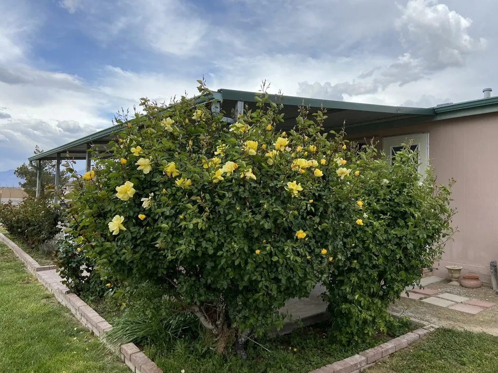 Local residential landscaping with custom design in Pahrump, NV by Snowden Landscape