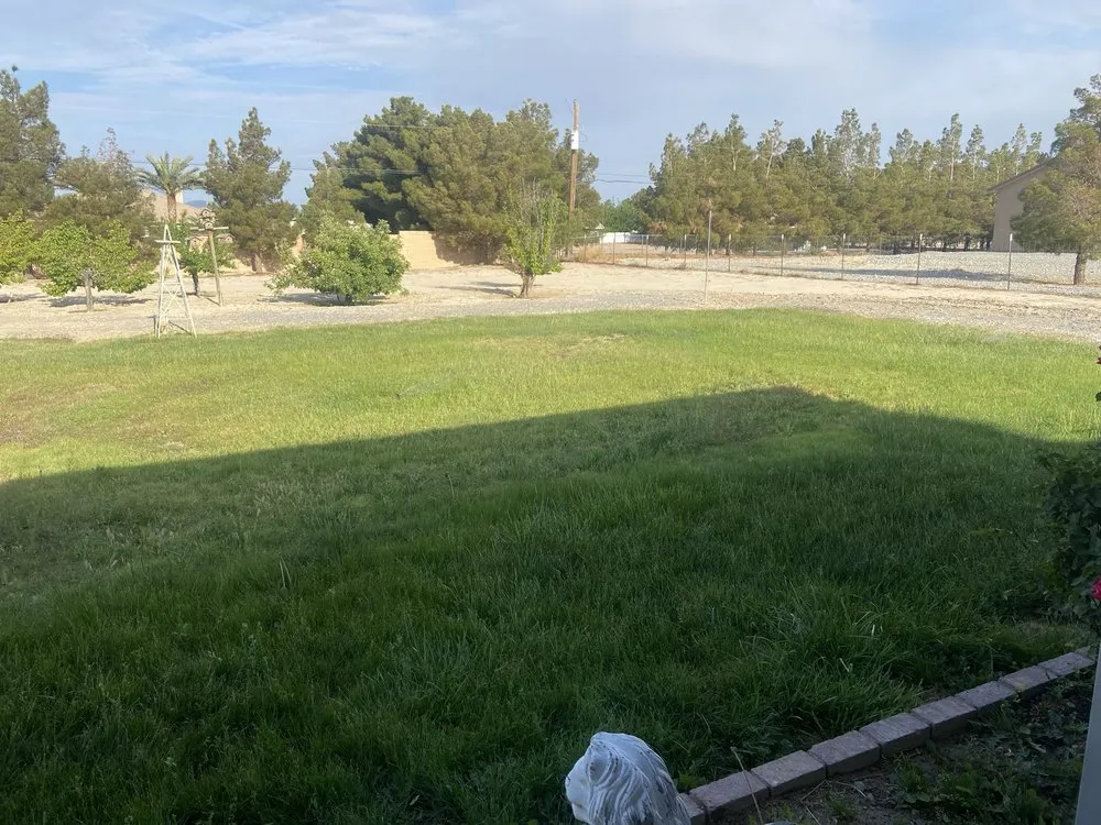 Custom landscaping services experts serving Pahrump, NV - Snowden Landscape