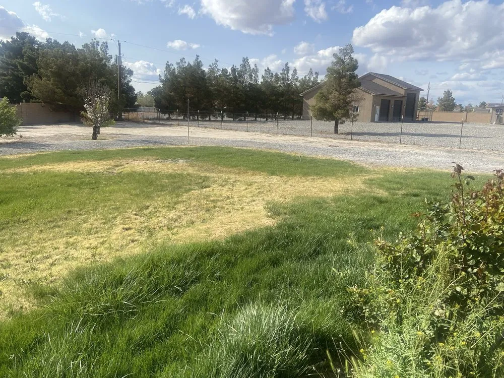 Reliable landscape installation experts serving Pahrump, NV - Snowden Landscape