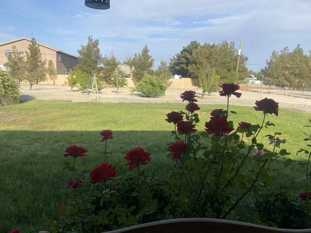 Affordable landscape installation near you across Pahrump, NV - Snowden Landscape