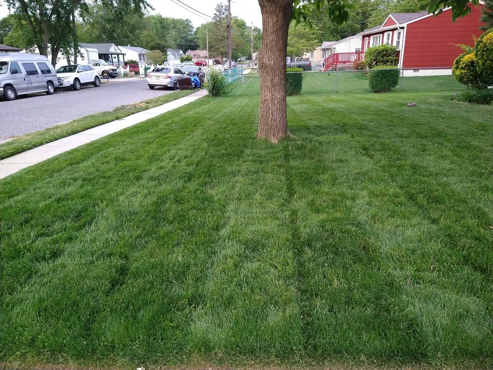 Professional landscaping services in Egg Harbor Township, NJ by Snowden Lawn Solutions