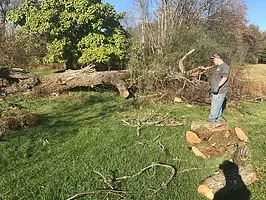 Top-rated landscape installation in Easton, PA - SnowLeaf Landscaping