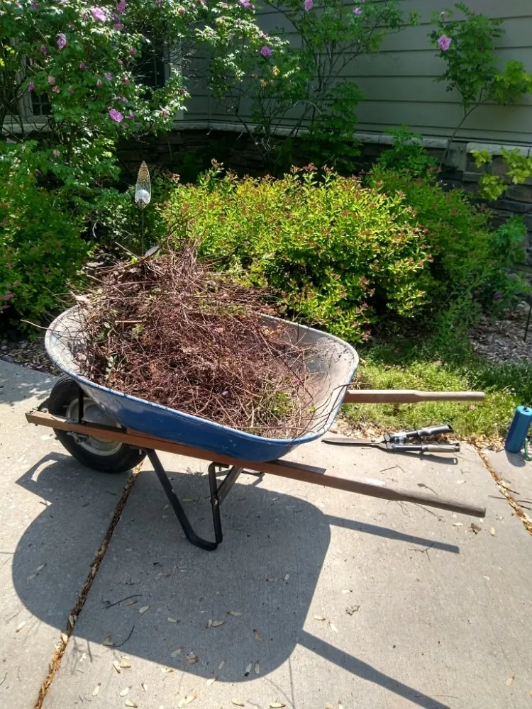 Affordable residential landscaping for outdoor upgrades across Saint Paul, MN - SnowMowBros