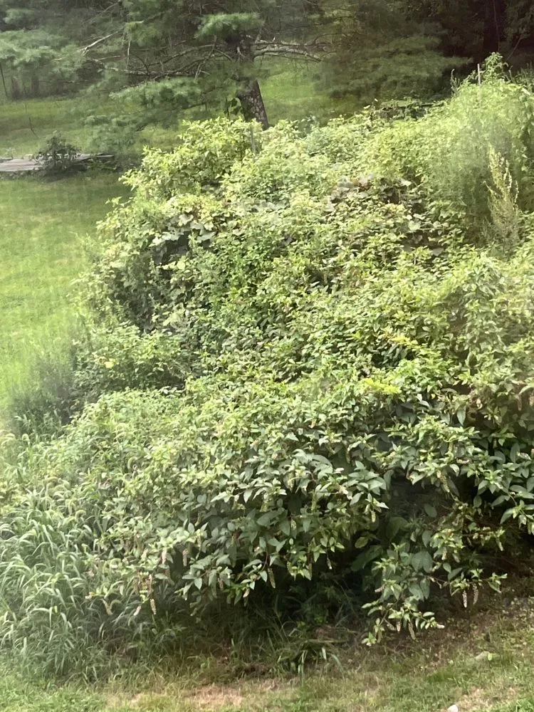 Reliable residential landscaping in West Greenwich, RI by Snows All Seasons Landscaping