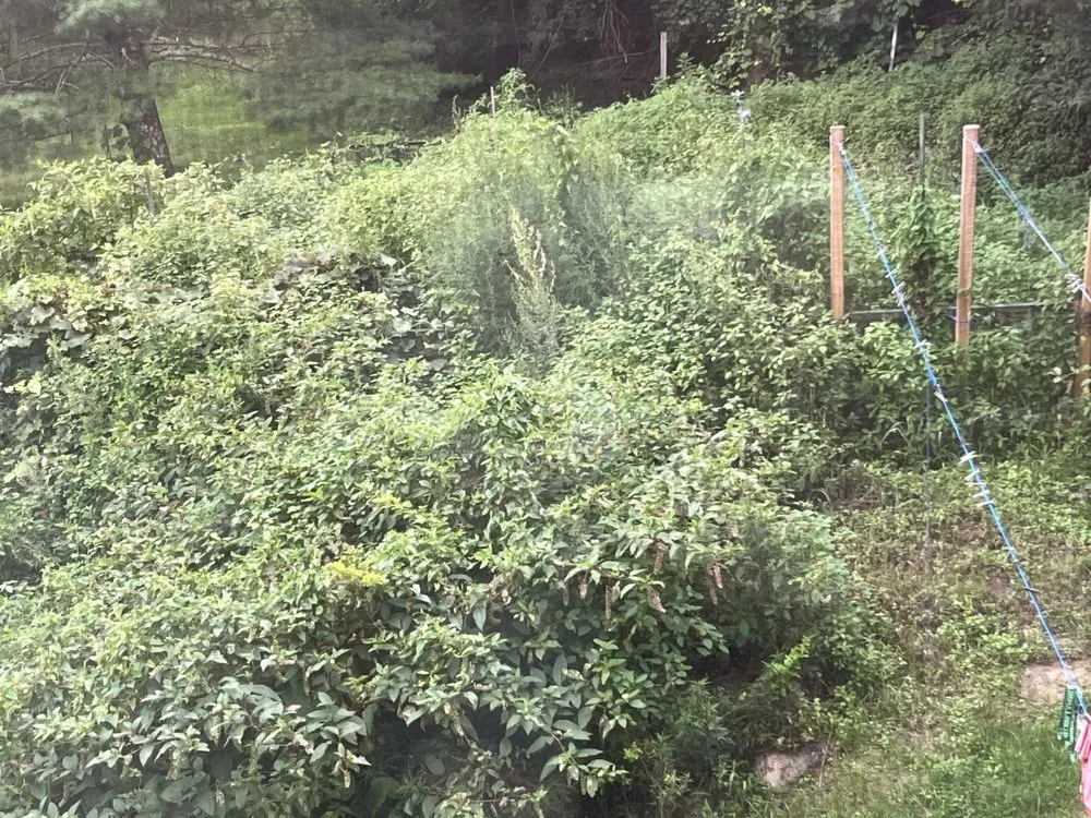 Trusted residential landscaping in West Greenwich, RI - Snows All Seasons Landscaping