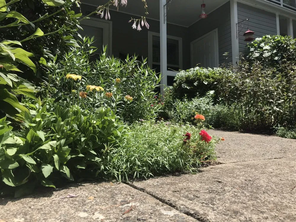 Affordable yard maintenance in Charlottesville, VA by Snow's Garden Center