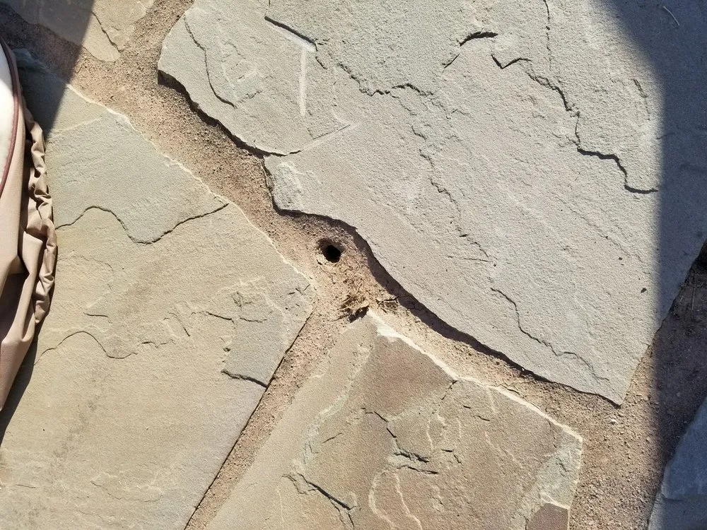 Professional yard maintenance experts serving Charlottesville, VA - Snow's Garden Center