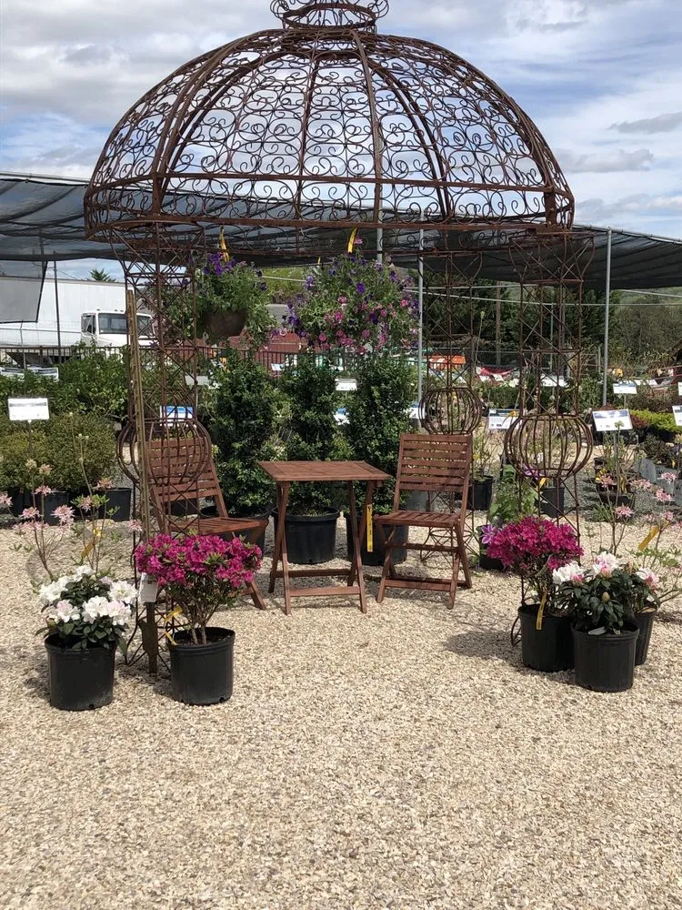 Custom lawn mowing service for outdoor upgrades across Charlottesville, VA - Snow's Garden Center