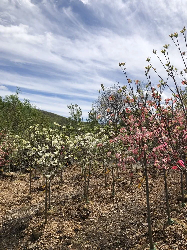 Affordable lawn care service near you across Charlottesville, VA - Snow's Garden Center