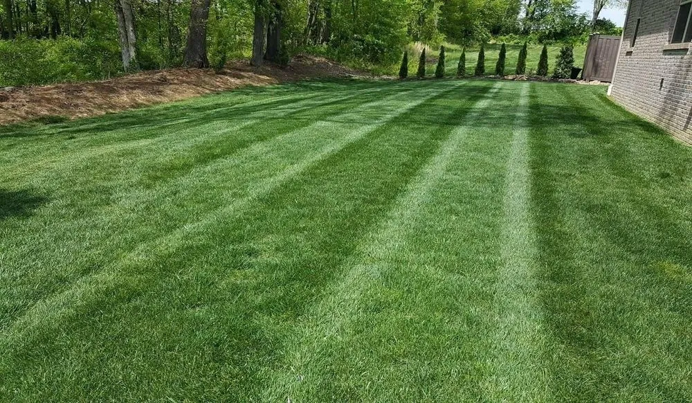 Reliable yard cleanup service in Newburgh, IN - Snow's Landscape & Nursery