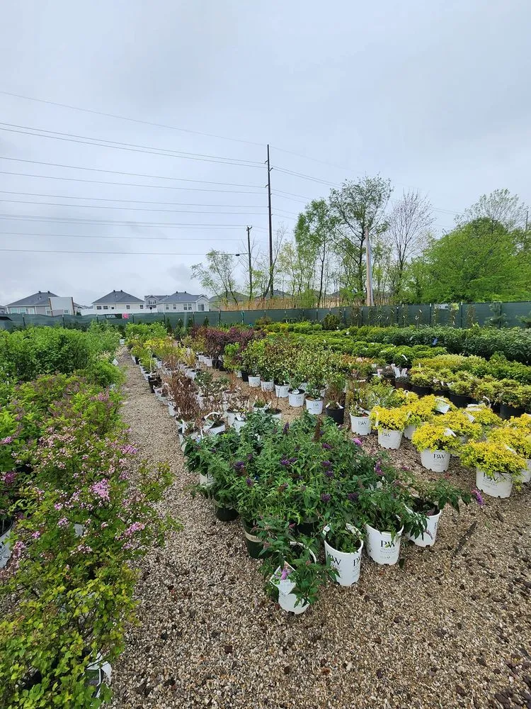 Top-rated lawn care service with custom design in Newburgh, IN by Snow's Landscape & Nursery