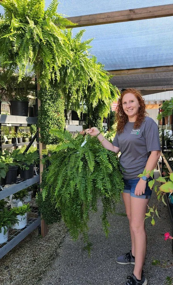 Top-rated landscape installation for year-round maintenance in Newburgh, IN by Snow's Landscape & Nursery