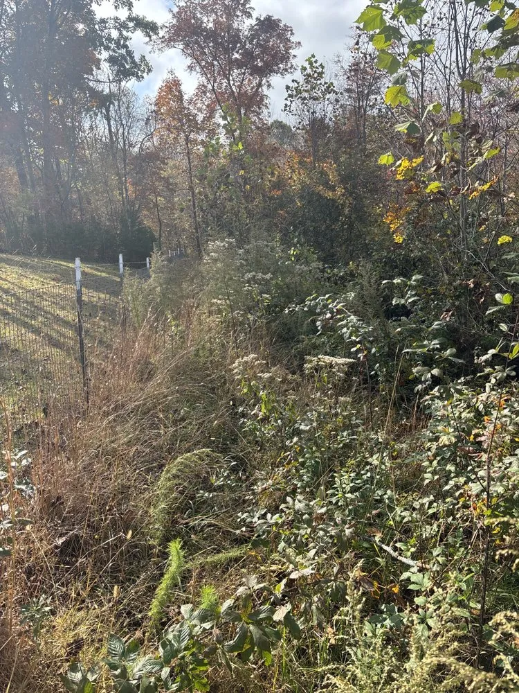 Local residential landscaping experts serving Pinnacle, NC - Snows Landscaping
