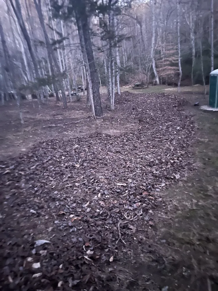 Custom residential landscaping in Pinnacle, NC by Snows Landscaping