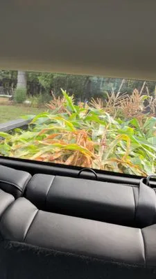 Snows Landscaping