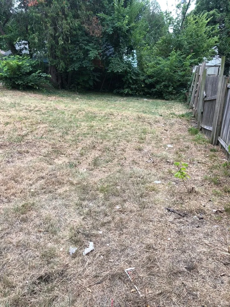 Top-rated yard maintenance experts serving Wichita, KS - Snow’s Lawn Care Services