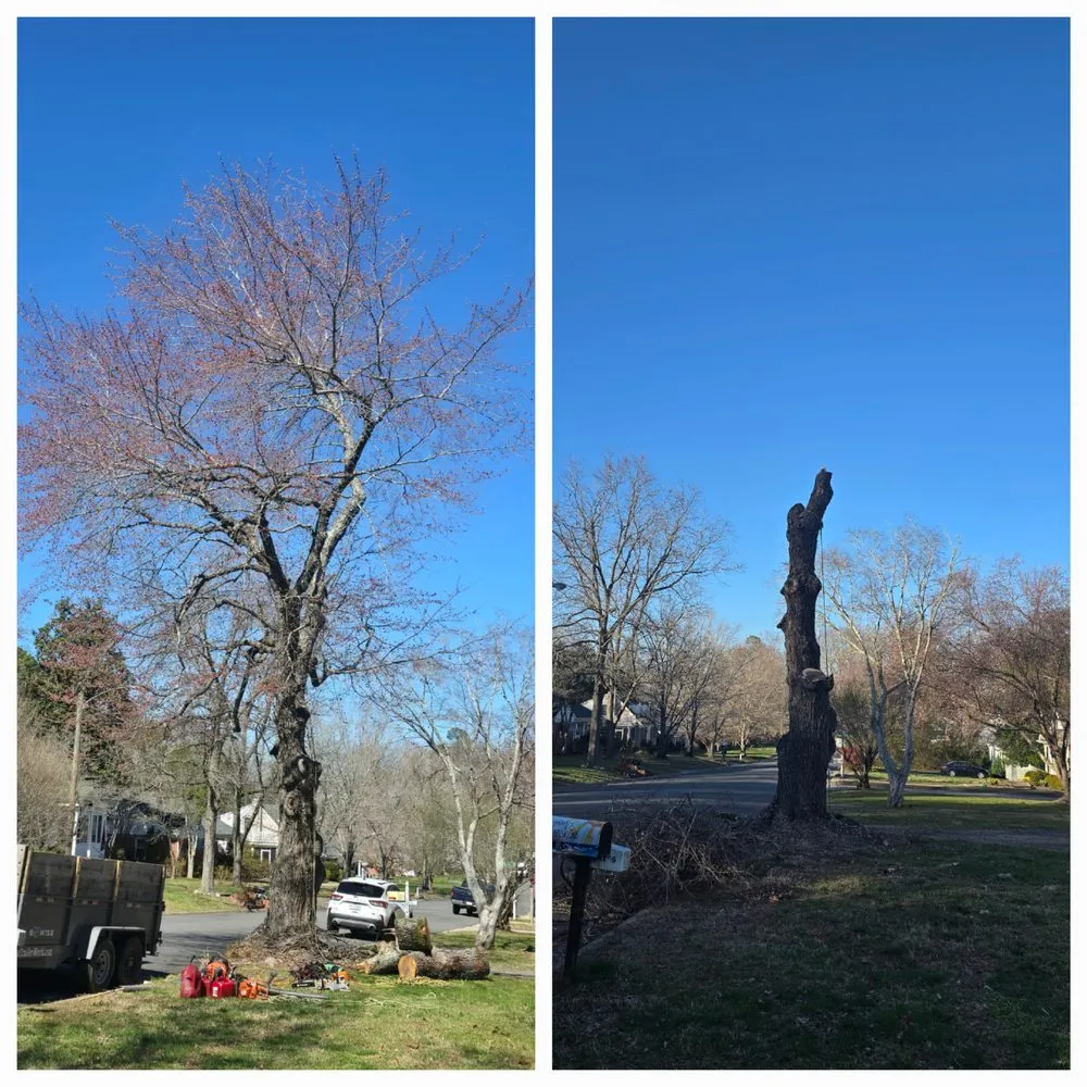 Affordable yard maintenance in Gloucester Point, VA - Snows Tree Care & Outdoors
