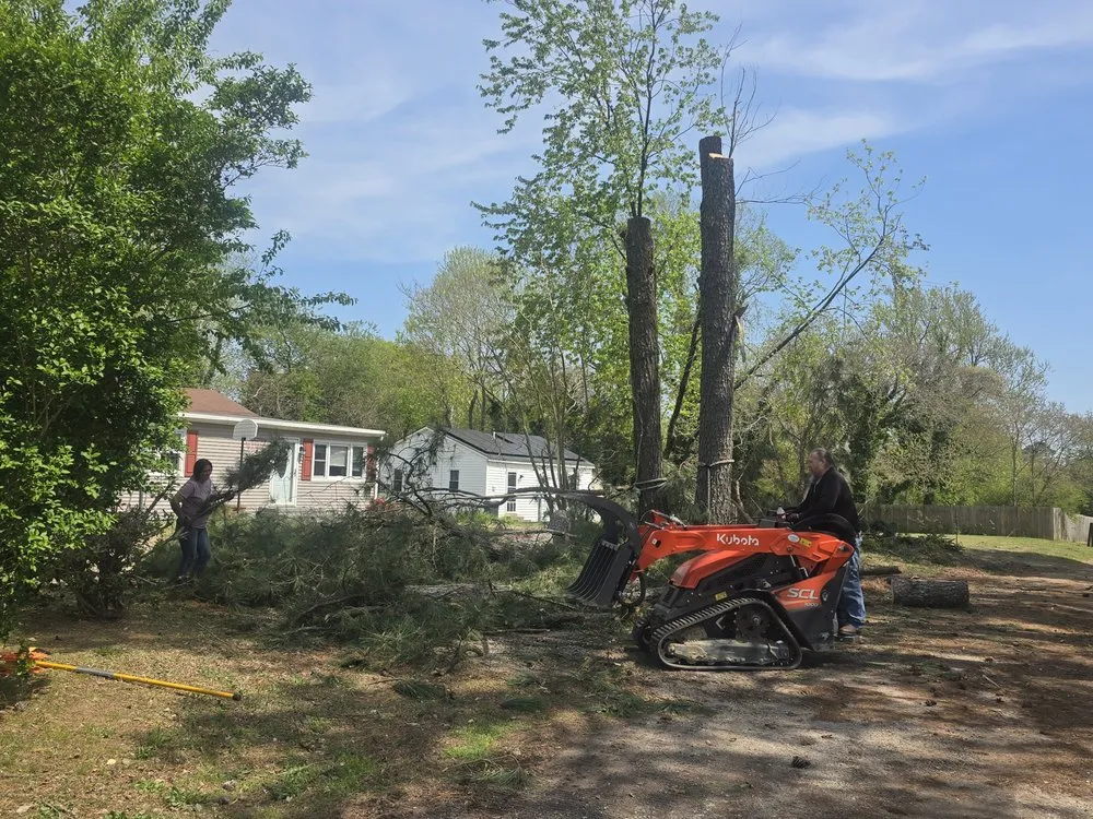 Affordable landscaping services for beautiful yards in Gloucester Point, VA by Snows Tree Care & Outdoors