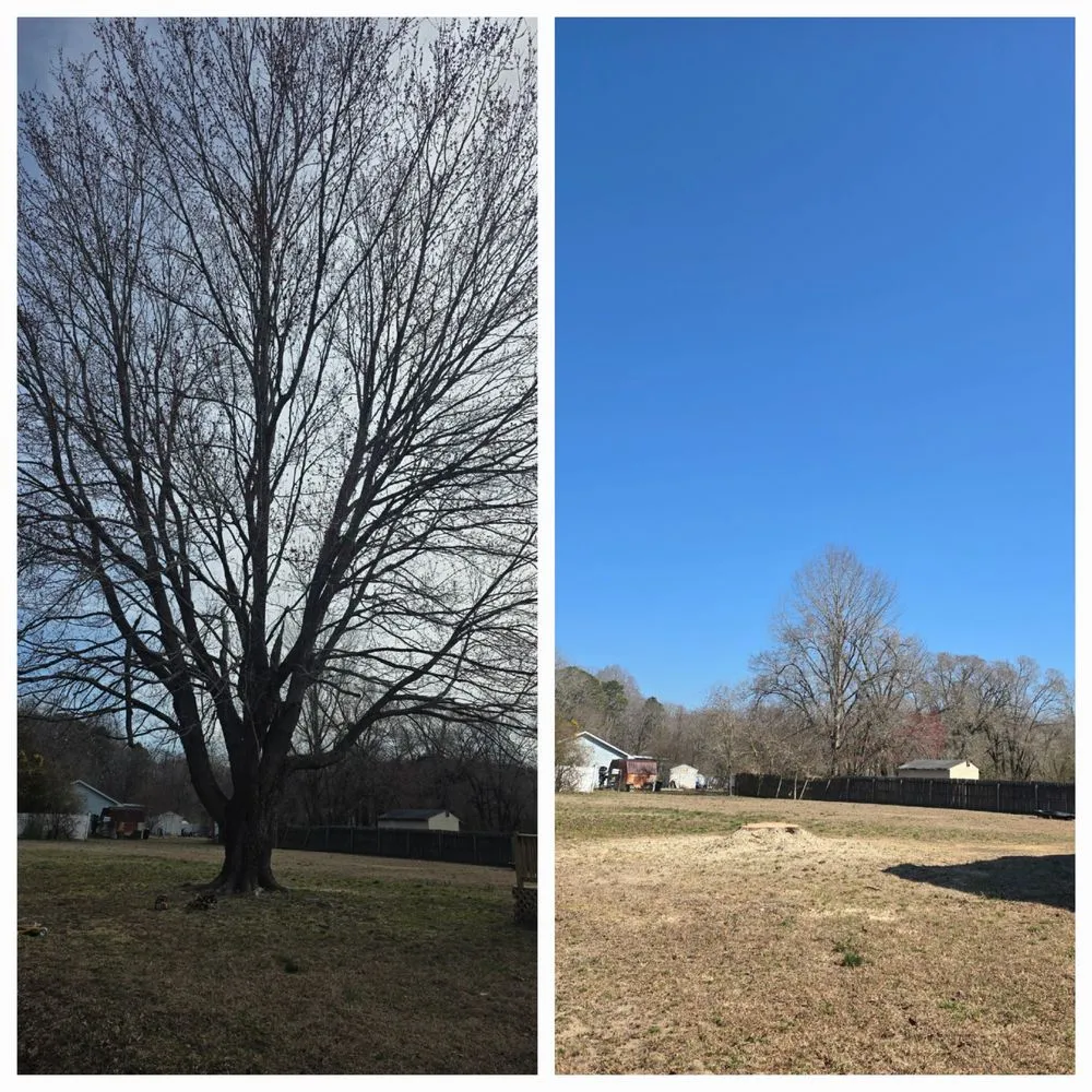 Reliable landscape design for outdoor upgrades across Gloucester Point, VA - Snows Tree Care & Outdoors