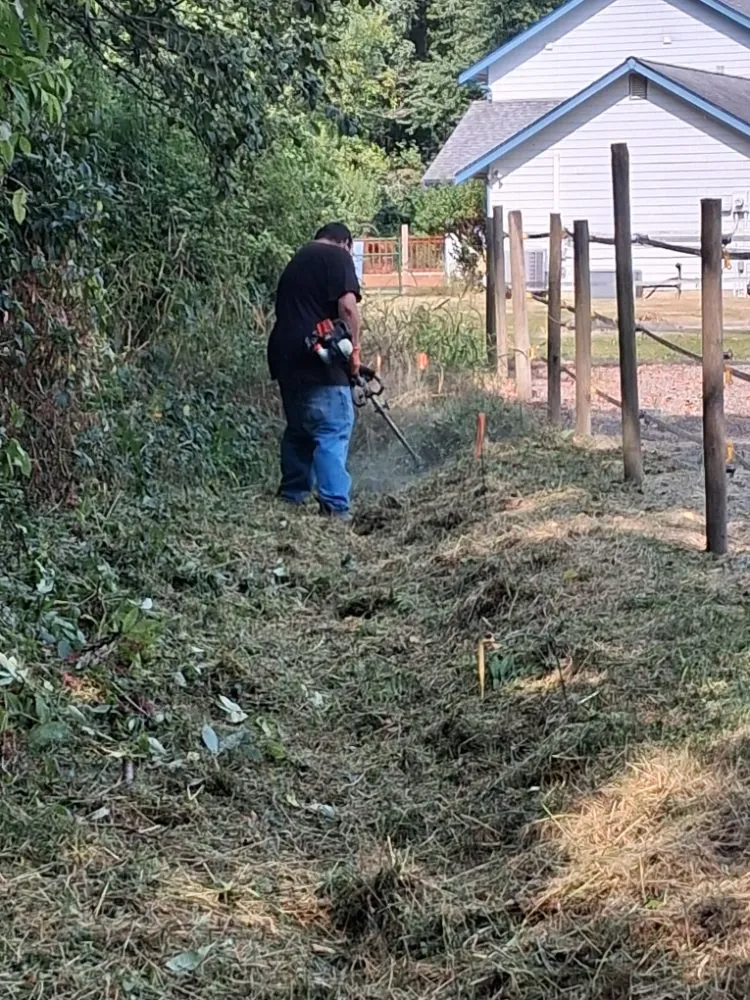 Reliable lawn care service for outdoor upgrades across Custer, WA - SnR Surreal Services