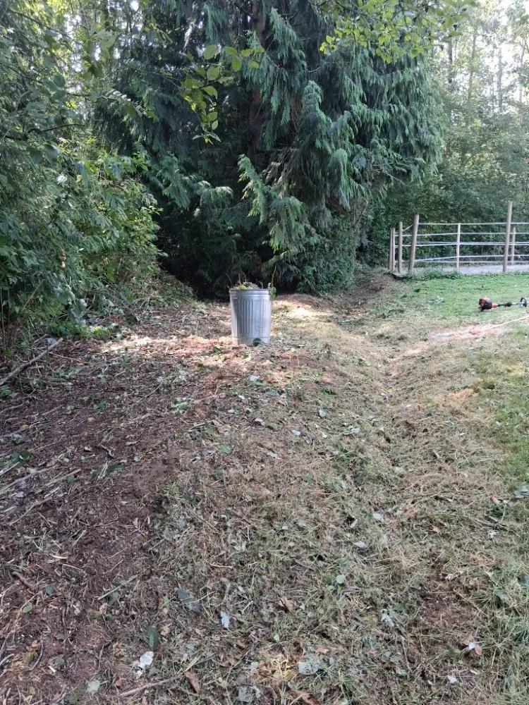 Top-rated yard maintenance in Custer, WA by SnR Surreal Services