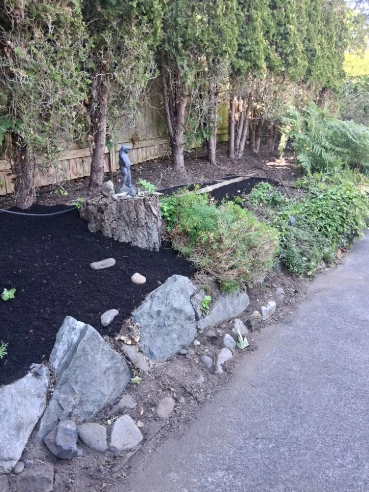 Top-rated outdoor landscaping in Custer, WA - SnR Surreal Services
