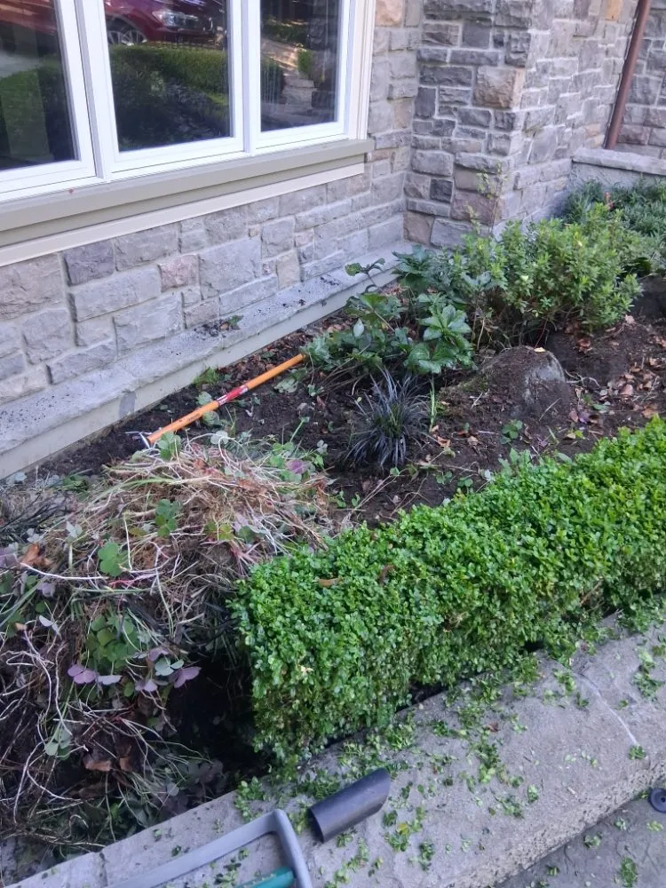 Trusted outdoor landscaping near you in Custer, WA by SnR Surreal Services