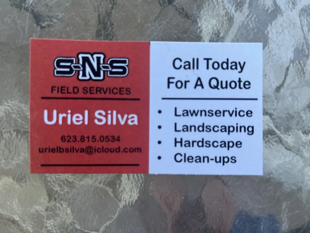 Custom landscape installation for outdoor upgrades in El Mirage, AZ by SNS Field Services
