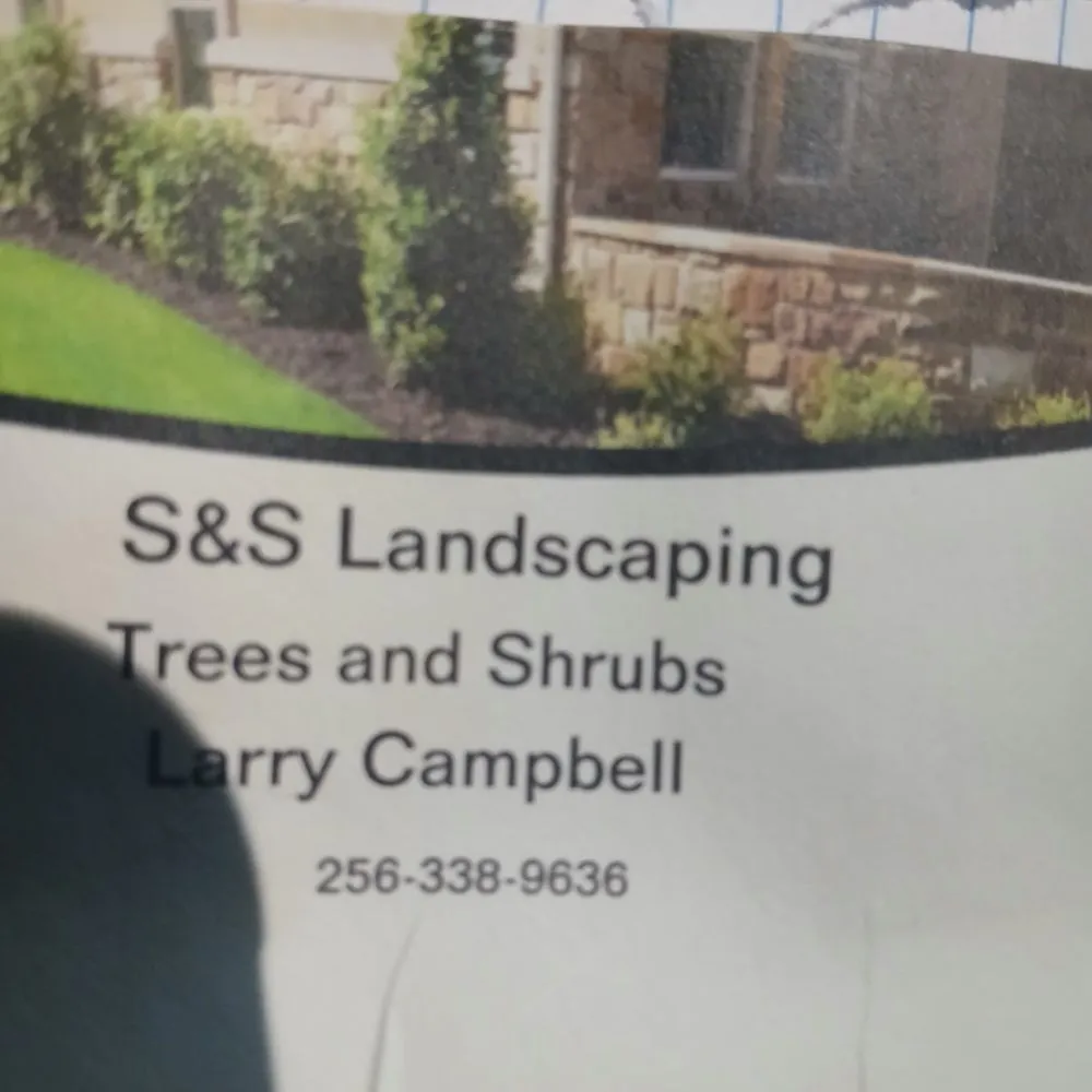 Local residential landscaping experts serving Plant City, FL - Sns Landscapeing