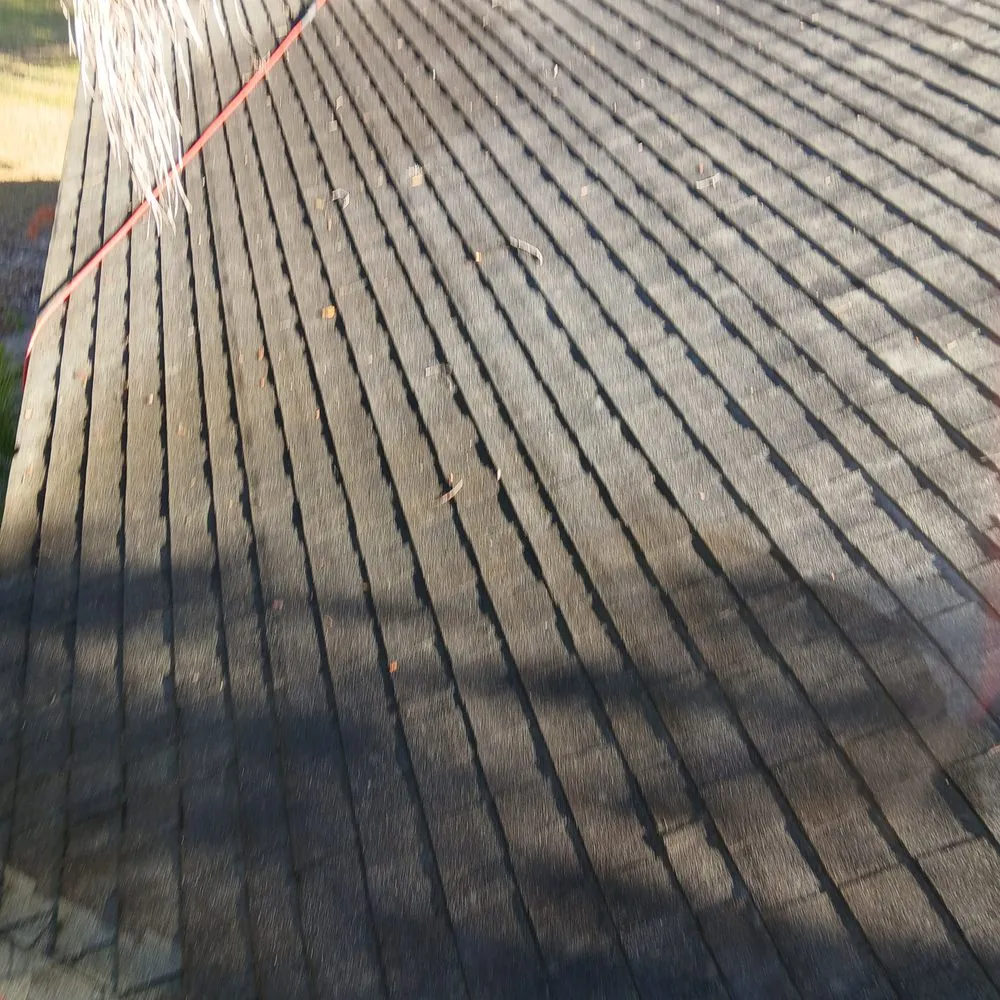 Expert garden landscaping for year-round maintenance across Plant City, FL - Sns Landscapeing