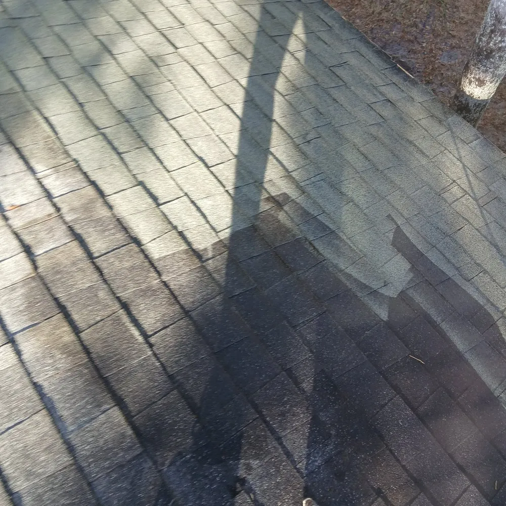 Reliable residential landscaping with custom design in Plant City, FL by Sns Landscapeing