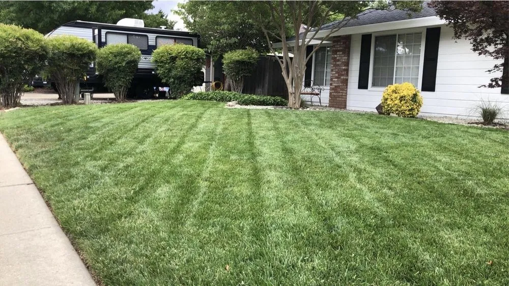 Affordable landscape design near you across Chico, CA - SNS Landscaping & Design