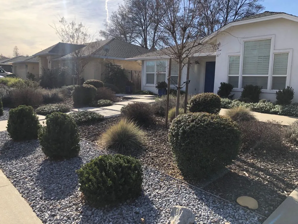 Custom yard maintenance for year-round maintenance in Chico, CA by SNS Landscaping & Design