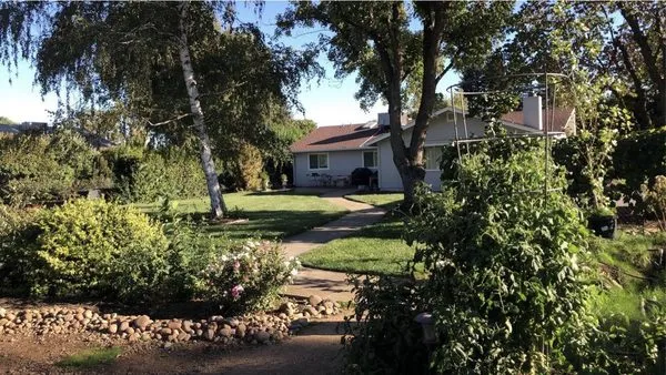 SNS Landscaping & Design Logo