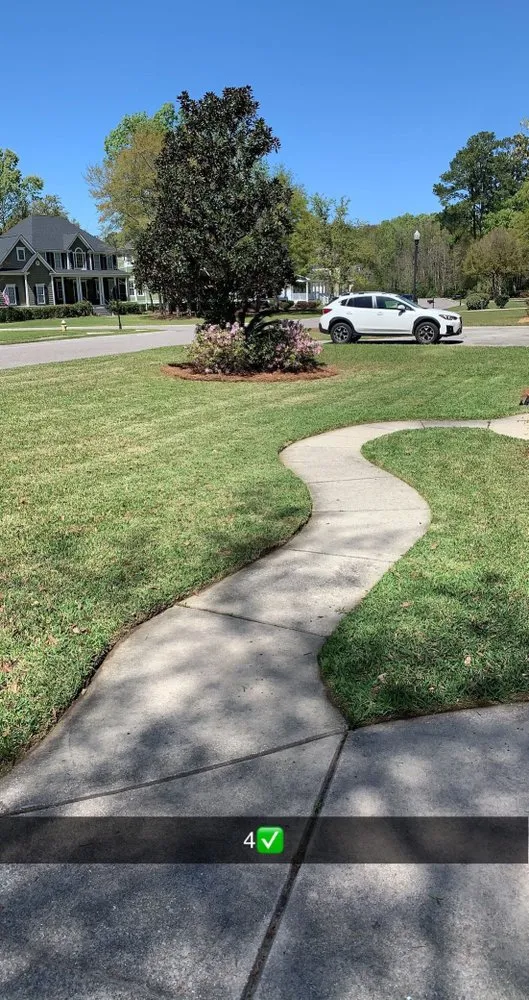 Expert lawn care service in Ashburn, VA by SnS Landscaping