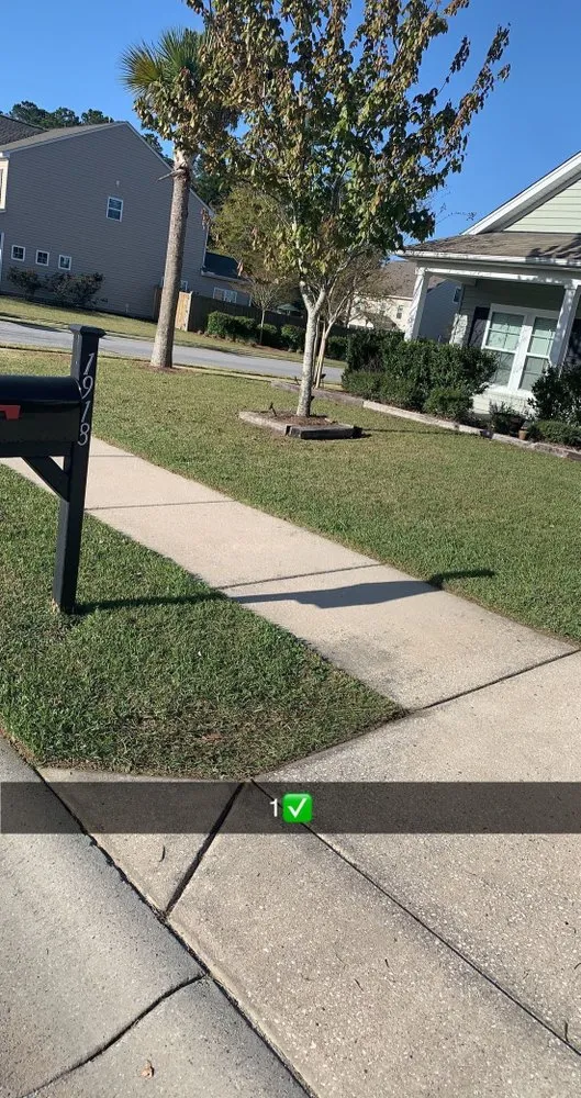 Top-rated lawn care service for beautiful yards across Ashburn, VA - SnS Landscaping