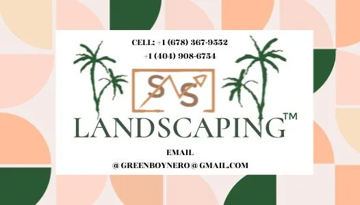 Local yard cleanup service experts serving Newnan, GA - SNS Landscaping