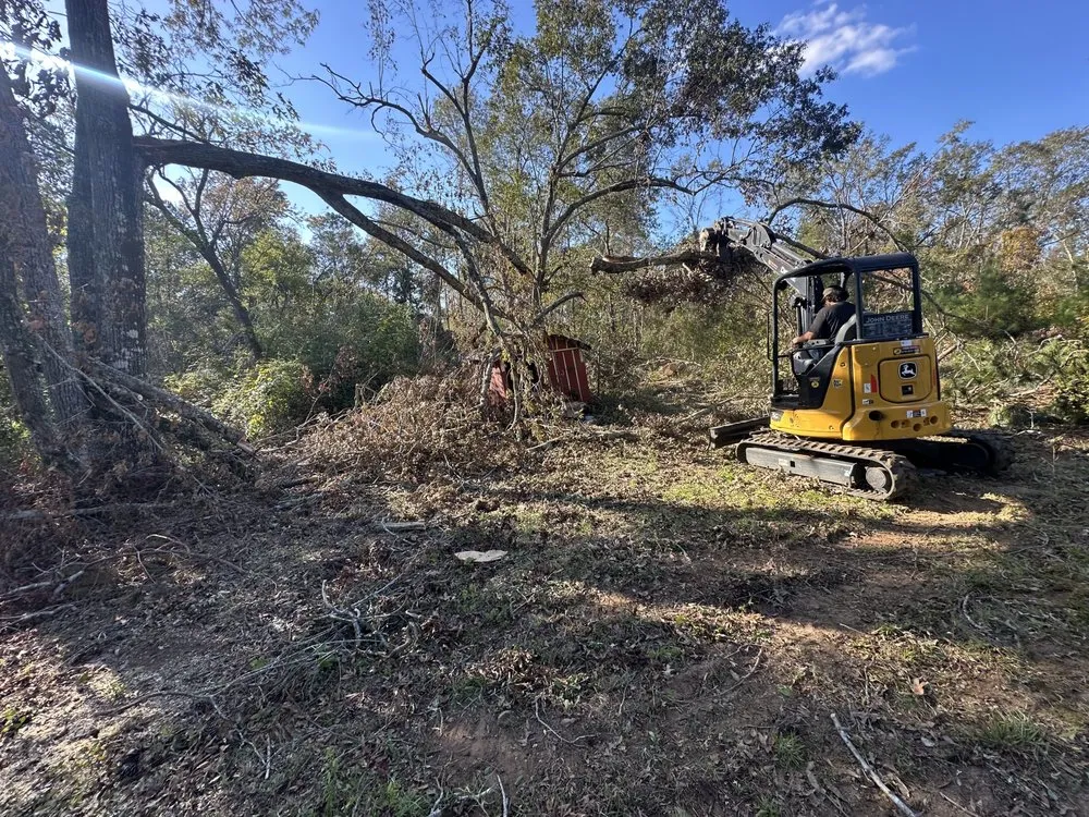 Professional outdoor landscaping in Augusta, GA - SnS Tree Service