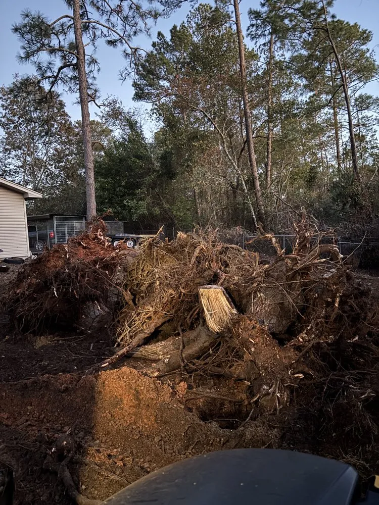 Affordable yard cleanup service in Augusta, GA - SnS Tree Service