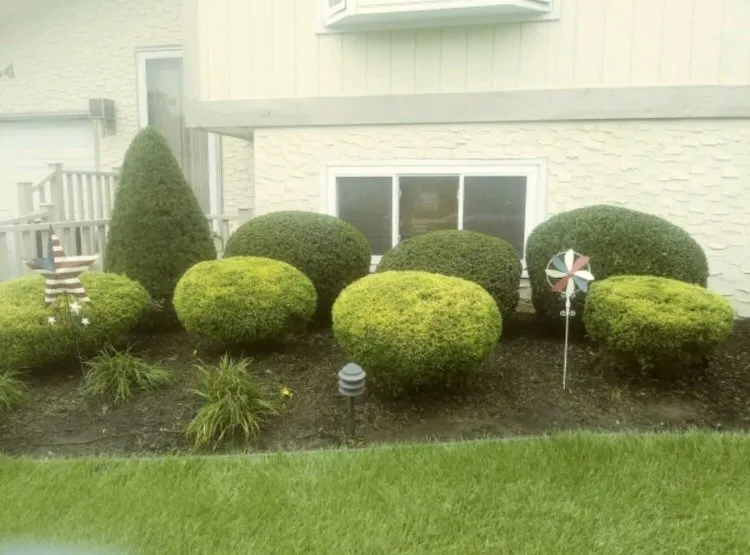 Custom landscape design for beautiful yards in Pemberton, NJ by Snuggz Jack Of All Trades