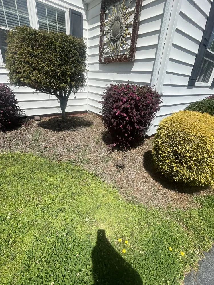 Professional landscaping services in Cherryville, NC - SNW Lawncare & Landscapeing