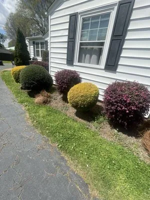 SNW Lawncare & Landscapeing Logo