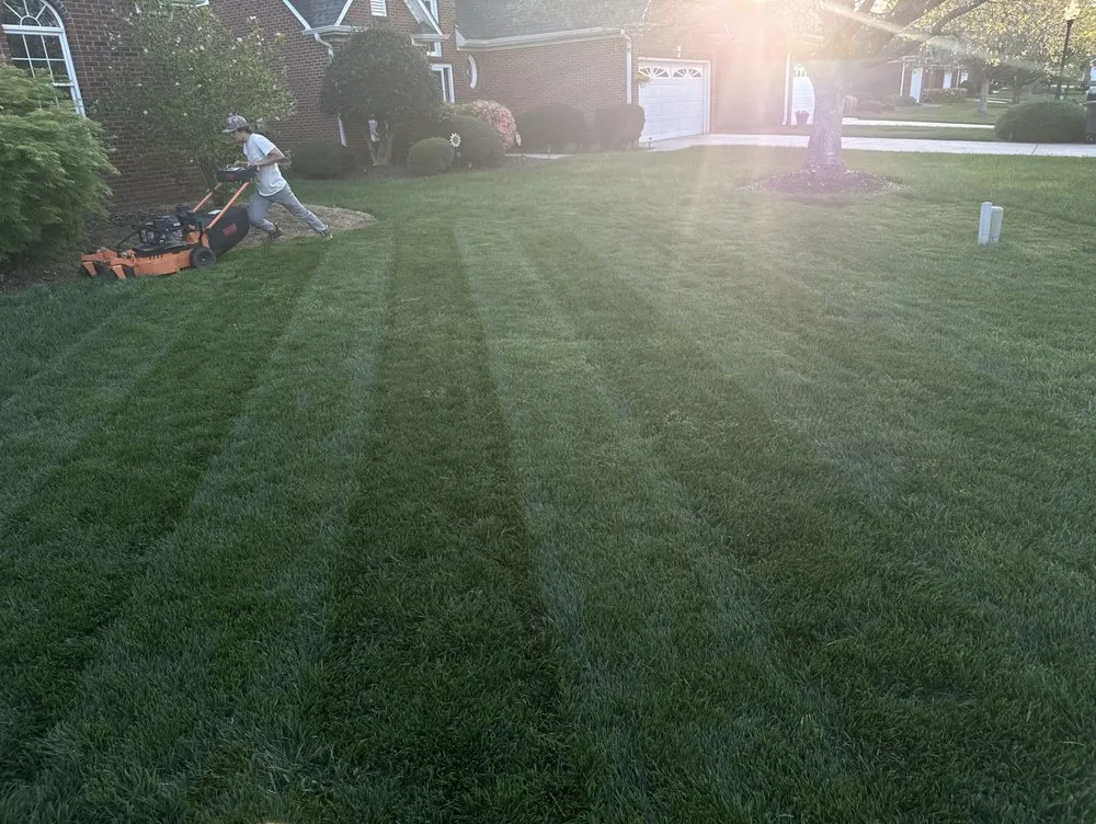 Reliable lawn care service in Cherryville, NC - SNW Spare no weeds