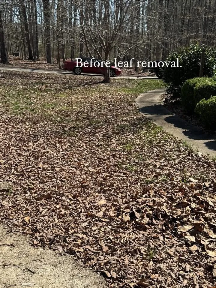 Reliable yard cleanup service in Cherryville, NC - SNW Spare no weeds