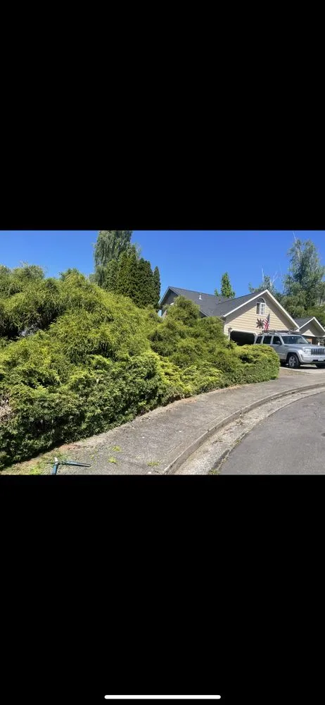 Affordable landscaping services in Roseburg, OR - Snyder Construction