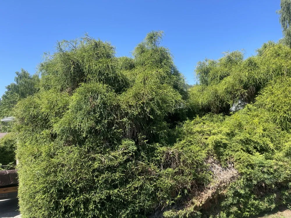 Affordable landscape installation in Roseburg, OR - Snyder Construction