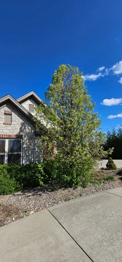 Affordable landscape design in Truesdale, MO - Snyder Landscape And Cleanup