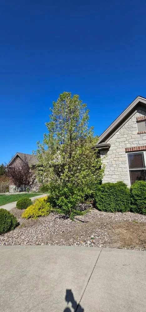 Top-rated yard cleanup service with custom design across Truesdale, MO - Snyder Landscape And Cleanup