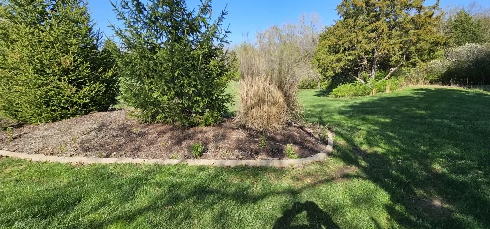 Top-rated outdoor landscaping in Truesdale, MO by Snyder Landscape And Cleanup
